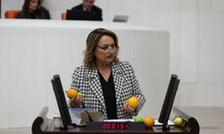 CHP’li Dr. Müzeyyen Şevkin Narenciye Krizini Kürsüye Taşıdı "Çukurova’nın Çiftçisi Kan Ağlıyor"