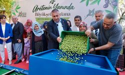 Adana Büyükşehir Belediyesi’nden Zeytin Üreticilerine Destek