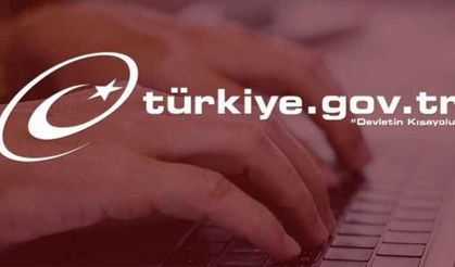 Hemen e-Devlet'e girip yapabilirsiniz!