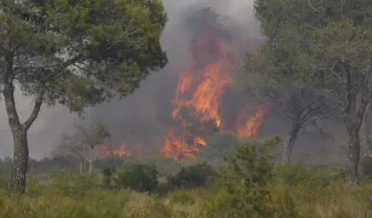 Fransa’da Orman Yangını: 600 Hektarlık Alan Kül Oldu