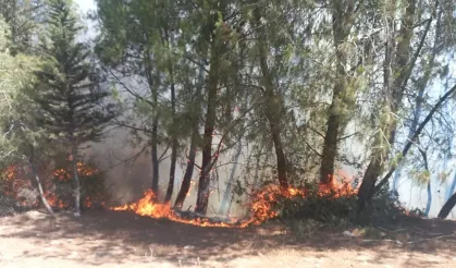 Adana Alarm Veriyor! İşte Yangın Riski En Yüksek İlçeler ve Mahalleler