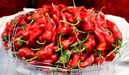 Salça Zamanı Geldi! Biber Alırken Bu Hataları Sakın Yapmayın