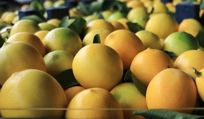 Çukurova'nın Bereketi Sınırları Aştı: Adana'dan İhracatta Tarihi Rekor!