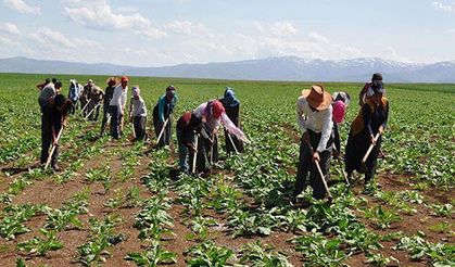 Bakanlıktan 1.7 Milyon TL Ödüllü Fotoğraf Yarışması!