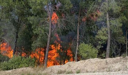 Sıcaklık Artıyor, Risk Büyüyor! Adana İçin Kritik Çağrı