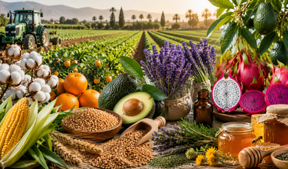 Adana Tarımında Yeni Dönem! Çiftçiler Alternatif Ürünlere Yöneliyor