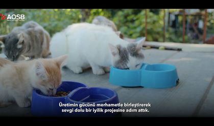 Adana OSB'den Örnek Proje! Fabrikalardan Çıkan Yemekler Can Dostlara Umut Olacak