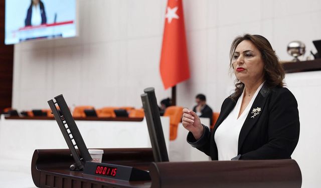 CHP’li Şevkin’den Tarımda Kriz Uyarısı: Üretici Destek Bekliyor