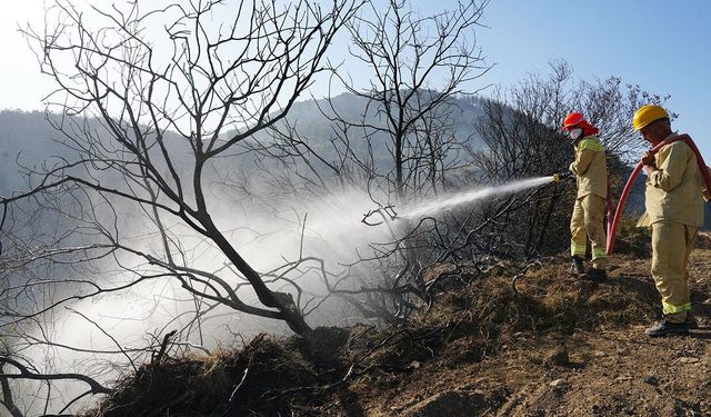 Yaz Sezonu Öncesi Kritik Uyarı: Orman Yangını Riski Alarm Veriyor