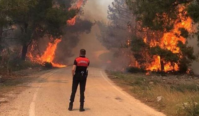 Adana'dan Kritik Yangın Uyarısı: 2 Bin Yangının 1.700'ü Böyle Başladı