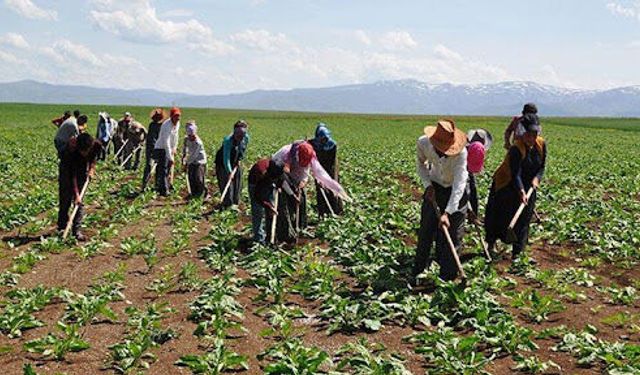 Bakanlıktan 1.7 Milyon TL Ödüllü Fotoğraf Yarışması!