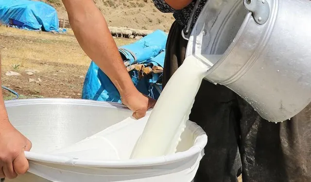 Süt Fiyatları Neden Artıyor? Üretimdeki Büyük Düşüş