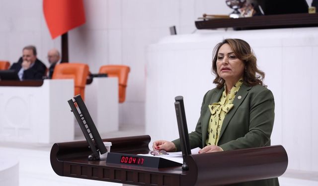 Şevkin: “Adana’nın hakkını savunacağız”
