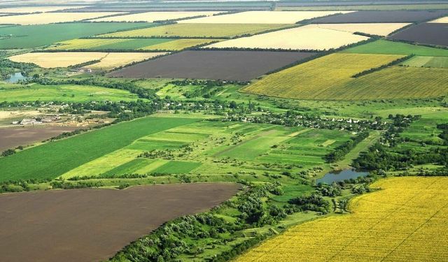 Tarım Analistleri Hesapladı: Nisan Sağanakları Ovada Rekolteyi Vuracak!