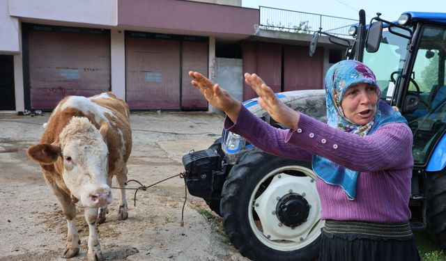 Kozan’da Sel Felaketi: Besici Gözyaşları İçinde Anlattı