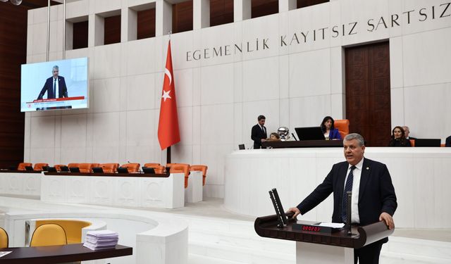 Adanalı Vekili İsyan Etti: Mısır İthalatı Yerli Üreticiye Darbedir!