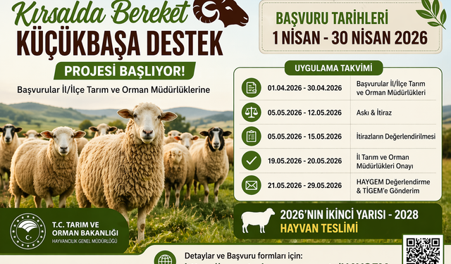 Dev Destek Başlıyor! Küçükbaş Hayvan Dağıtımı İçin Başvurular Açıldı