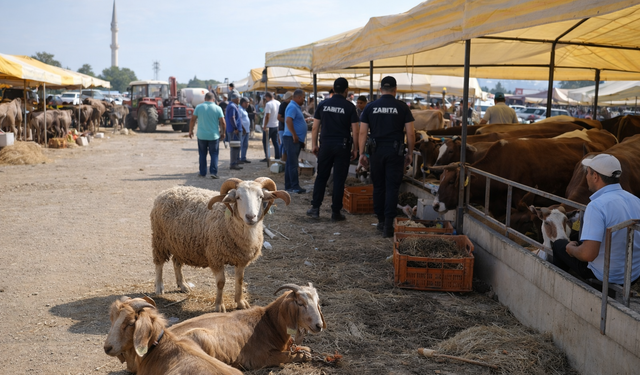 Kurban Kesim Hizmeti Alınacak! Adana Büyükşehir’den Milyonluk Hazırlık Başladı