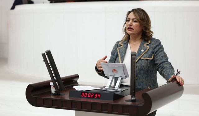 CHP'li Şevkin'den Adana'nın 15 İlçesi İçin Özel Araştırma Talebi!