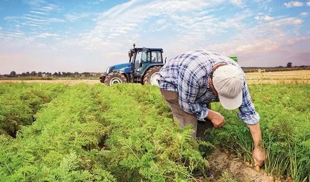 Tarım-ÜFE Verileri Açıklandı: Üretici Fiyatlarında Sert Düşüş