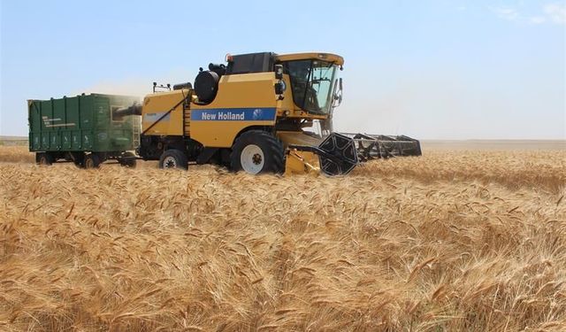 Adana Çiftçiler Birliği, Buğday Alım Fiyatında Olması Gereken Rakamı Açıkladı