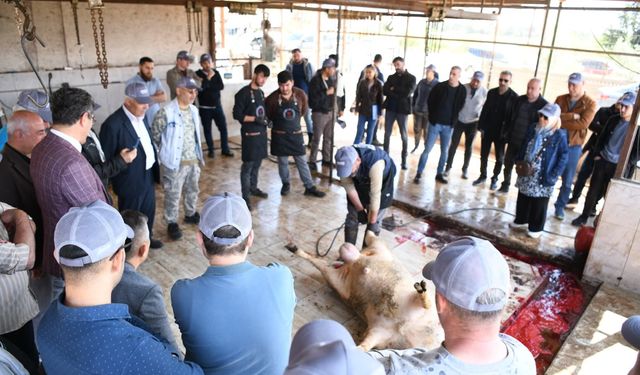 Sarıçam’da Uygulamalı Kurban Kesim Eğitimi Tamamlandı