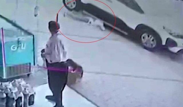 Adana’da Faciadan Dönüldü: Küçük Çocuk Böyle Kurtarıldı