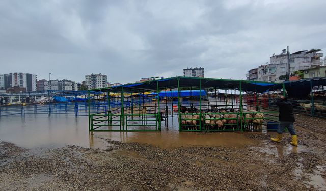 Adana’da Hayvan Pazarı Sular Altında Kaldı