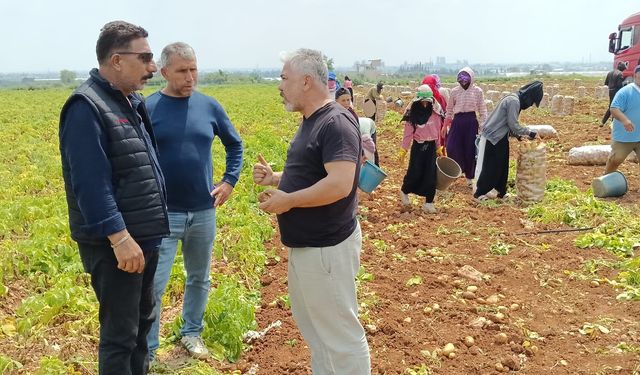 Adana’da Tarım Alarmı: Rekolte %30 Düştü