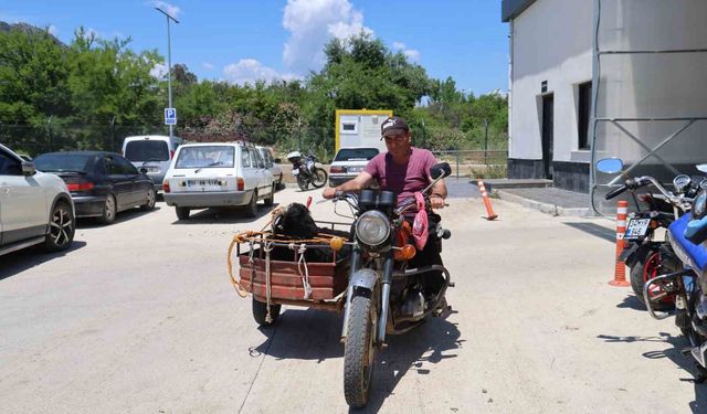 Adana’da Gören Dönüp Bir Daha Baktı! Keçileri Motosiklet Sepetinde Taşıdılar