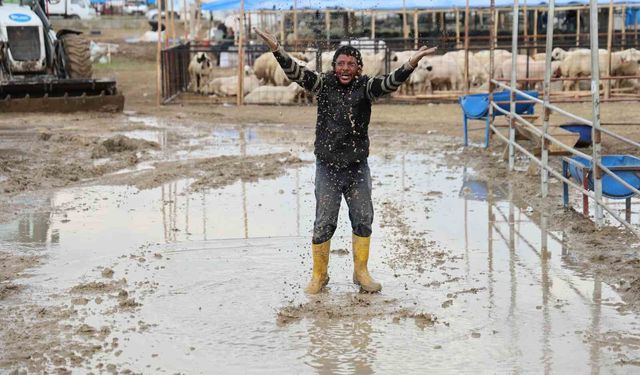 Adana’daki Kurban Pazarını Sel Vurdu! Besiciler İsyan Etti