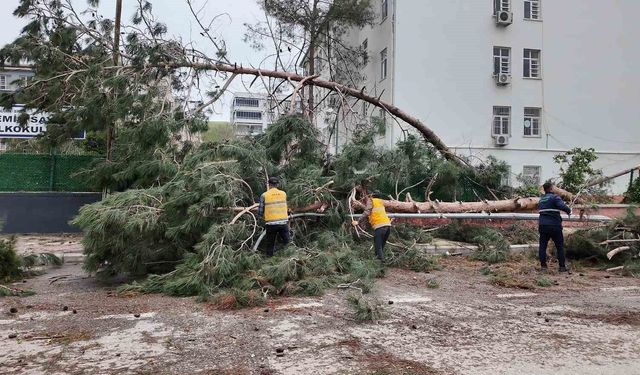 Birecik'te afetin yaraları sarılıyor