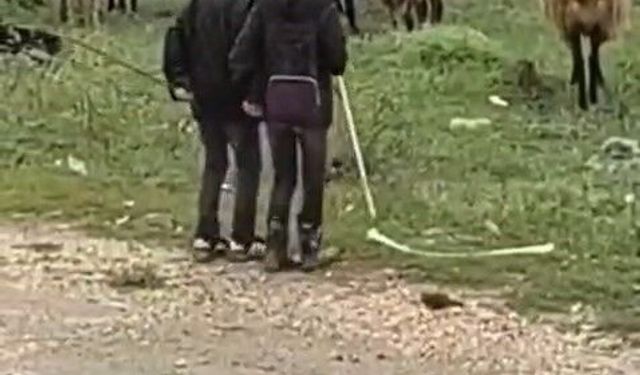 Elazığ'da minik çobanların sürü başında halayı