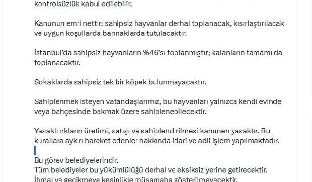 İstanbul Valisi Davut Gül: 'Sahipsiz hayvanların yüzde 46'sı toplanmıştır; kalanların tamamı da toplanacaktır'