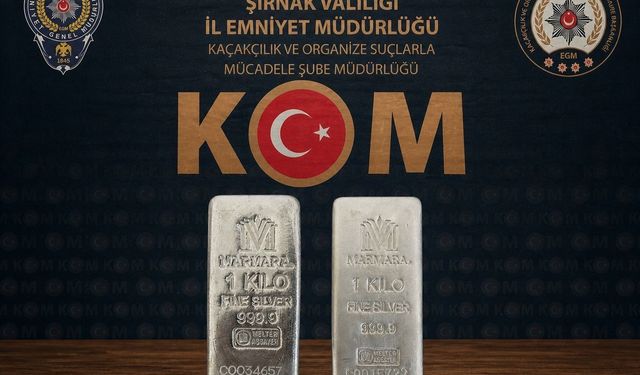 Şırnak'ta 4,3 milyonluk kaçakçılık engellendi: 2 şüpheli tutuklandı, 46 şüpheliye işlem yapıldı