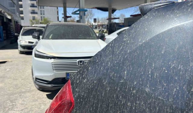 Van'da çamur mesaisi: Oto yıkamacılarda kuyruk oluştu