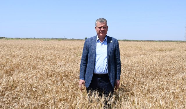 CHP’li Barut’tan TMO’ya Çağrı: “Çiftçiyi Mağdur Etmeyin”