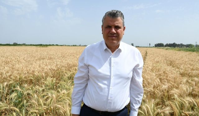CHP’li Ayhan Barut’tan Buğdayda 25 TL Alım Fiyatı Çağrısı