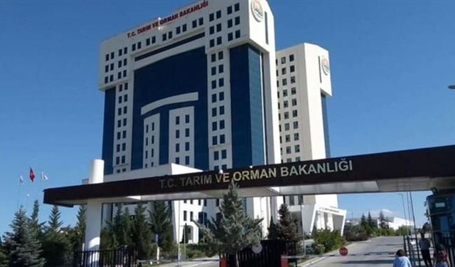 İş Arayanlara Müjde! Tarım Bakanlığı Sınavsız Kamu Personeli Alacak
