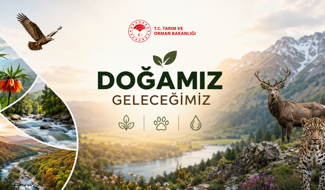 Türkiye’nin Doğal Hazinesi İçin Seferberlik: 12 Bin Bitki Türü Koruma Altında