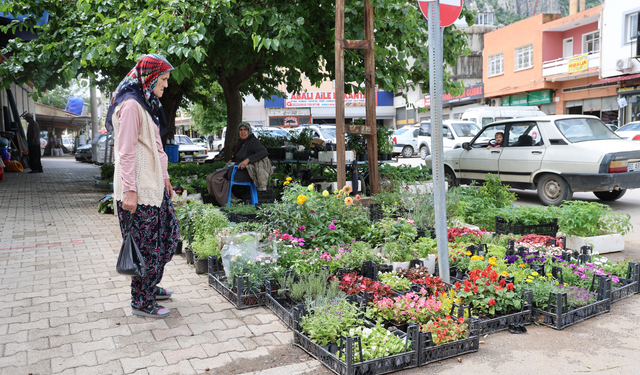 Kozan’da Ata Tohumu Fidesine Büyük İlgi! Yayla Sezonu Hareketlendi
