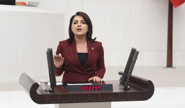 CHP'li Kış'tan Sert Tepki "Türkiye Üretemeyen ve Kredi Kartıyla Yaşayan Bir Ülkeye Dönüştü!"