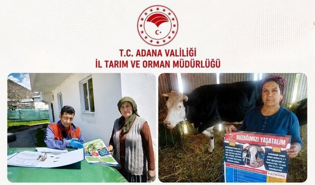 Adana'da Hayvan Kayıplarına Karşı 15 İlçede Seferberlik