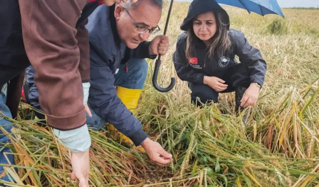 Adana’da Dolu ve Sel Vurdu: Çiftçiler İçin Hasar Tespit Seferberliği Başladı