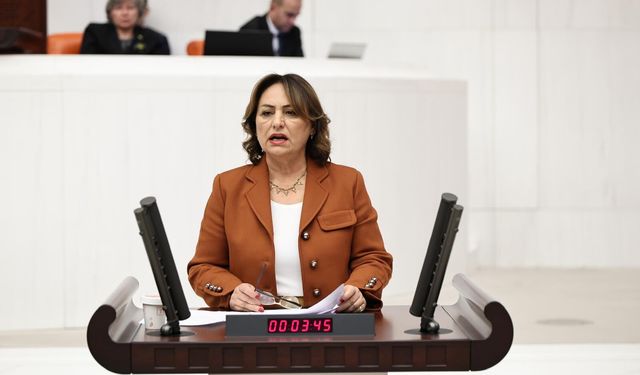 CHP'li Şevkin'den Meclis'te Uyarı: Jeoloji Bilimi Dışlanamaz