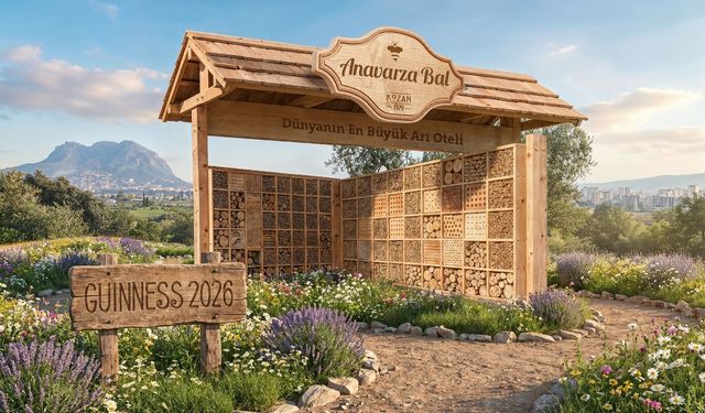 Anavarza Bal’dan Dünyaya Dev Proje: En Büyük Arı Oteli Kuruluyor