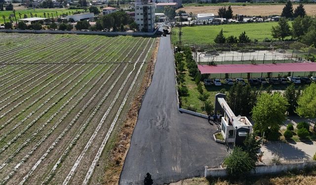 Ceyhan Belediyesi'nden Kesintisiz Asfalt Seferberliği