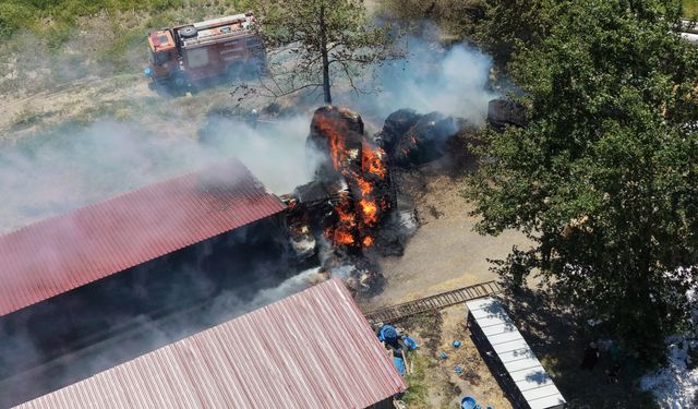 Çiftlik Alevlere Teslim Oldu: Pozantı'da Korkutan Yangın