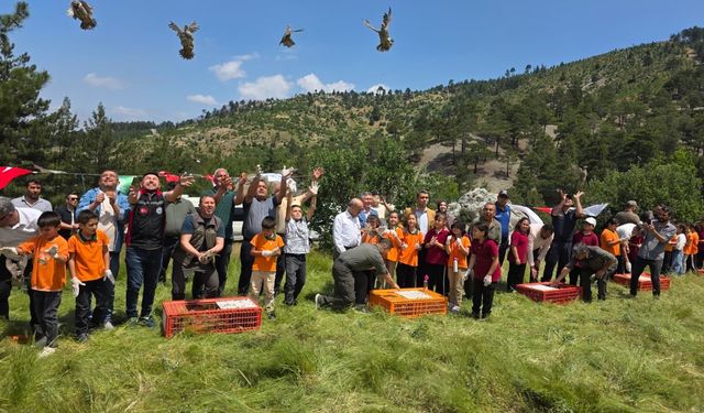 Kene Tehlikesine Karşı Doğal Çözüm: Pozantı’da 300 Keklik Göreve Başladı