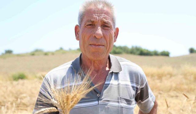 Adana'da Unutulan Ata Tohumu Yeniden Toprakla Buluştu!